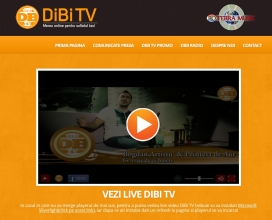 S-a lansat portalul DiBi TV !