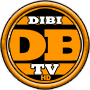 DiBiTV.ro